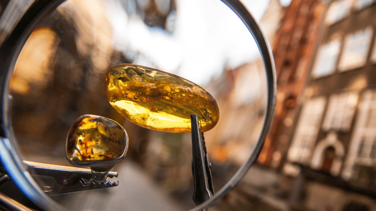 Amber in Gdańsk: The Gold of the Baltic