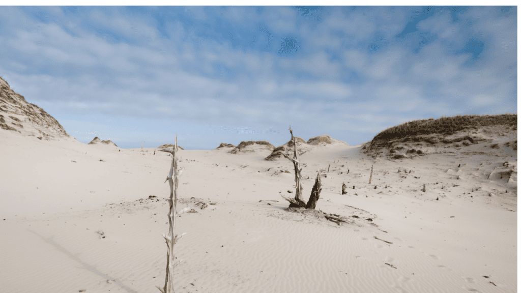 A picture of Wolin National Park's dunes.