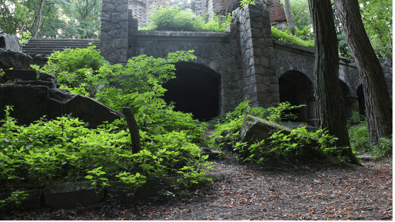 Hidden Gems and Secret Spots in Szczecin
