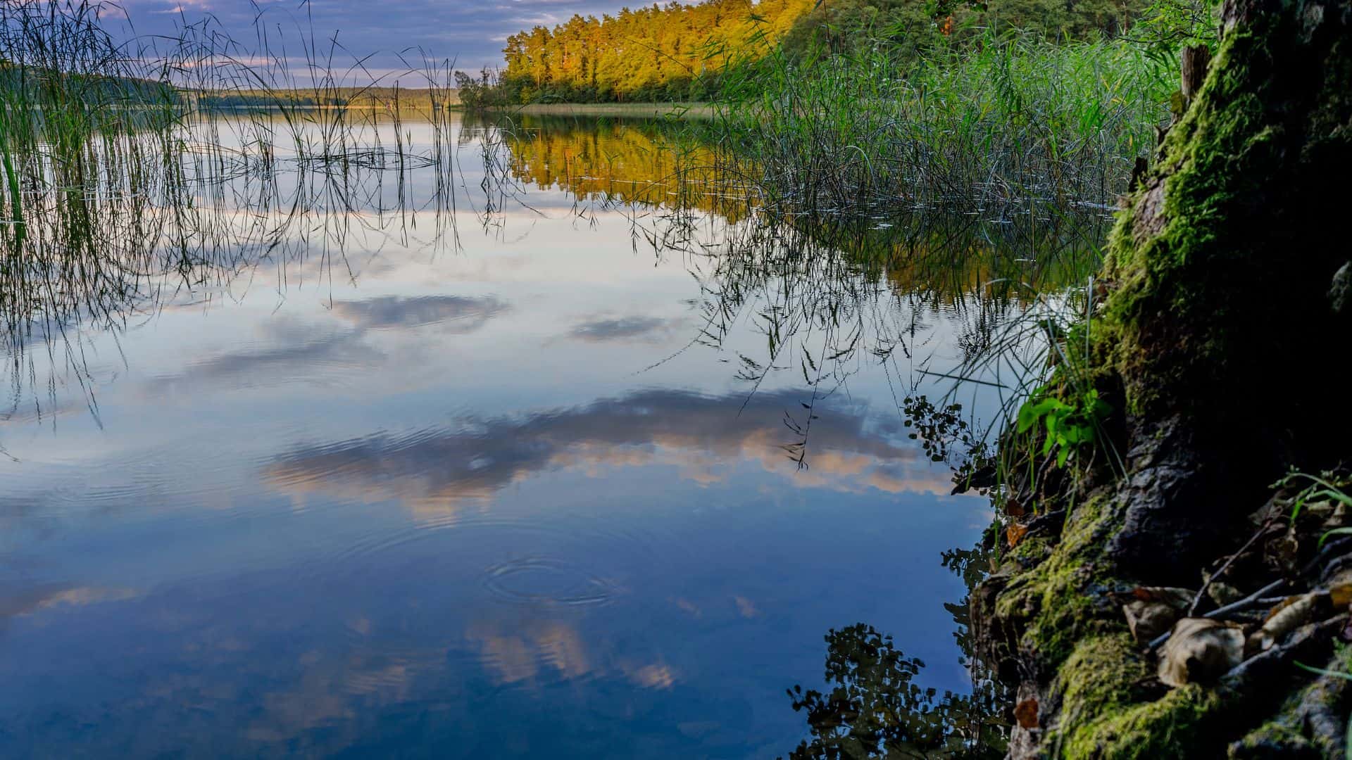 Masurian Lakes Adventure Water & Land Thrills