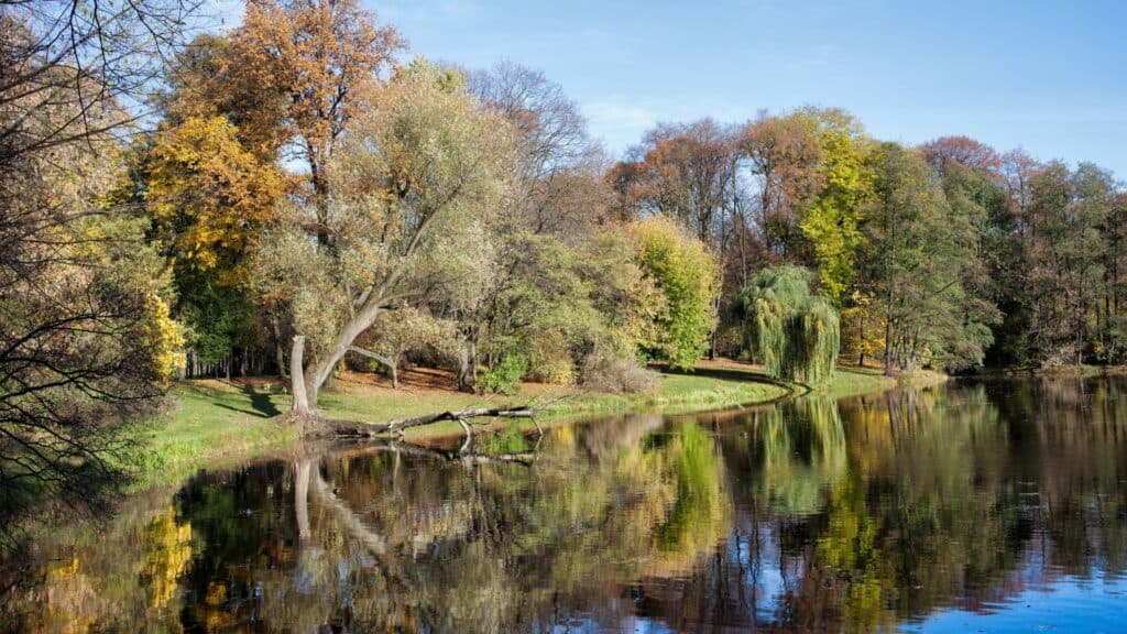 Skaryszewski Park
