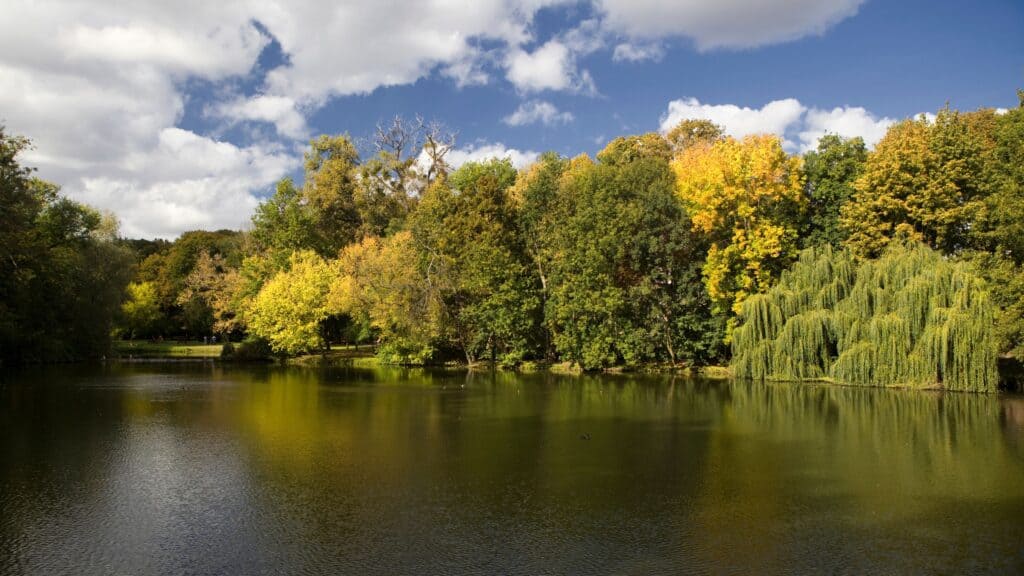 Sołacki Park