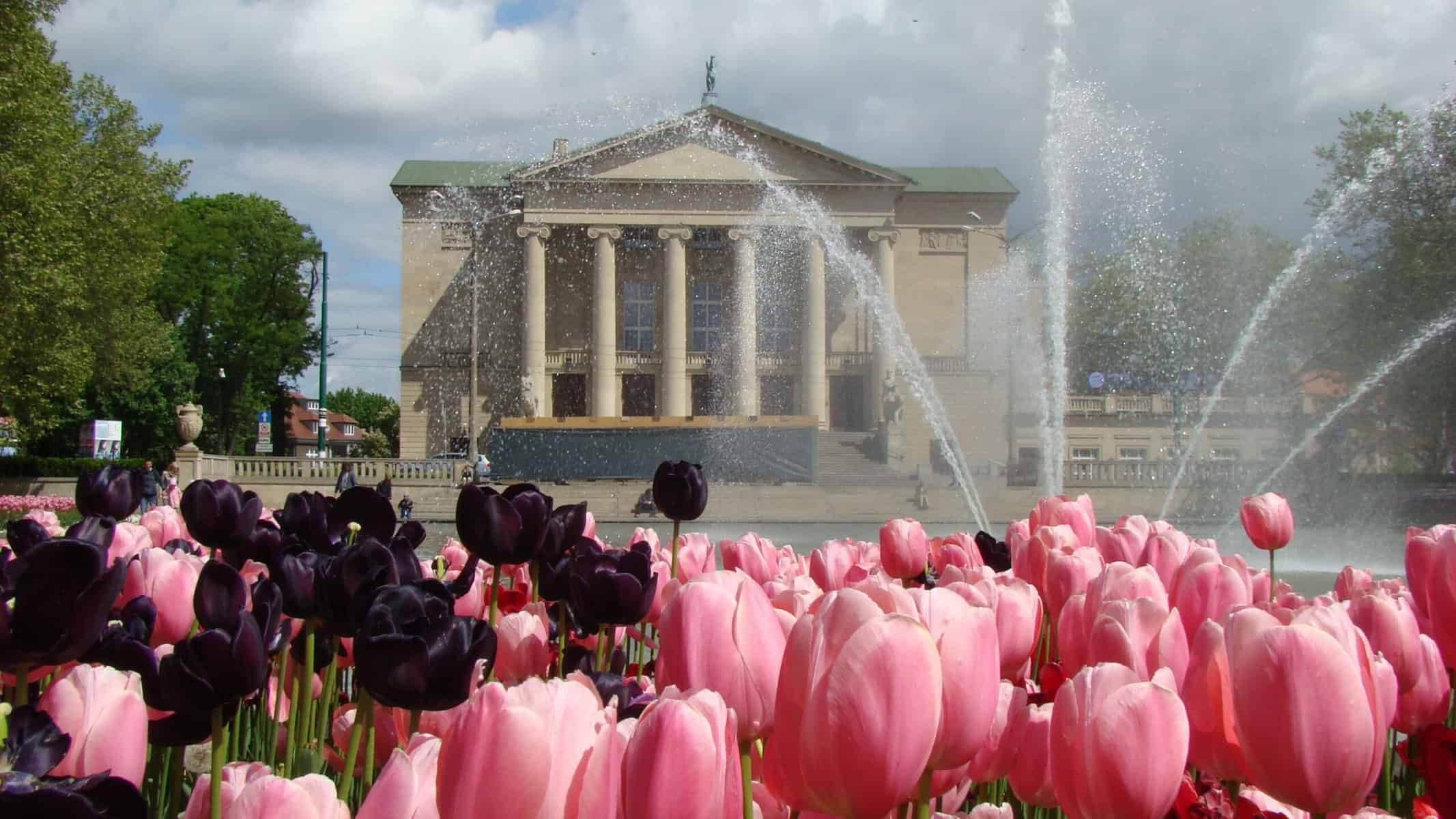 Hidden Gems and Offbeat Attractions in Poznań