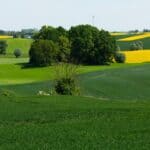 Day Trips from Zielona Góra: Cool Spots for a Quick Getaway